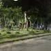 C3na f0rt3: Homem m0rr3 após ser pers3guid0 por grupo no bairro Cidade Nova
