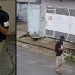 Vídeo: moradores da Zona Norte de Manaus caçam arr0mbador de casas: ‘ se pegar, eu mato’ 