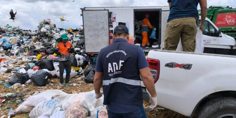 Açougue é pego com 400 quilos de comida podre à venda em Manaus