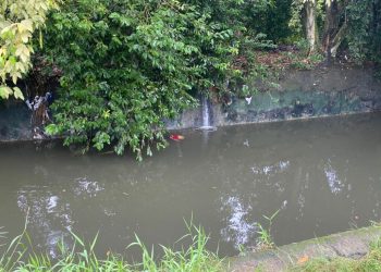 De bruços, homem é encontrado m0rt0 boiando em igarapé na Zona Centro-Sul de Manaus