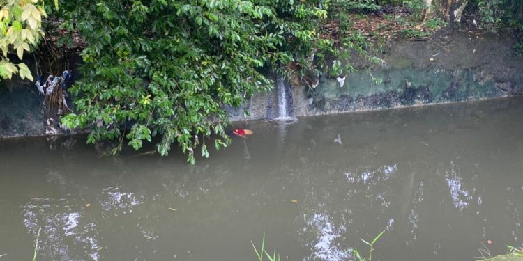 De bruços, homem é encontrado m0rt0 boiando em igarapé na Zona Centro-Sul de Manaus