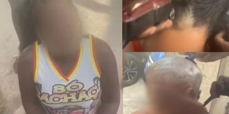 Vídeo: chefe da boca manda capangas raspar cabelo das blindadas fofoqueiras: ‘peço perdão’