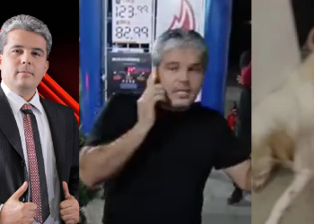 Fotógrafo da Discover Publicidade é flagrado e$pancand0 cachorra recém-parida em Manaus