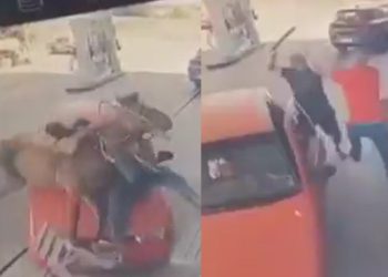 Vídeo: homem atr0pela talarico montado a cavalo e depois parte pra cima dele com facã0