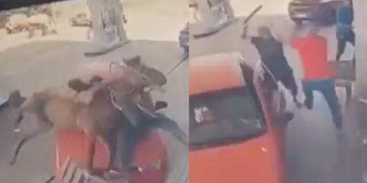 Vídeo: homem atr0pela talarico montado a cavalo e depois parte pra cima dele com facã0