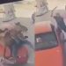 Vídeo: homem atr0pela talarico montado a cavalo e depois parte pra cima dele com facã0