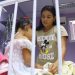 Hospital Francisca Mendes realiza mais de 900 cirurgias cardíacas e vasculares, em 2024