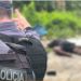 Homem é encontrado m0rt0 e t0rturad0 em matagal em Flores, em Manaus