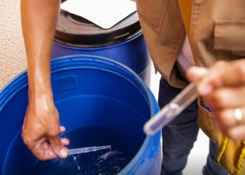 Dengue avança nas Zonas Oeste, Centro Oeste e Leste de Manaus: veja em quais bairros