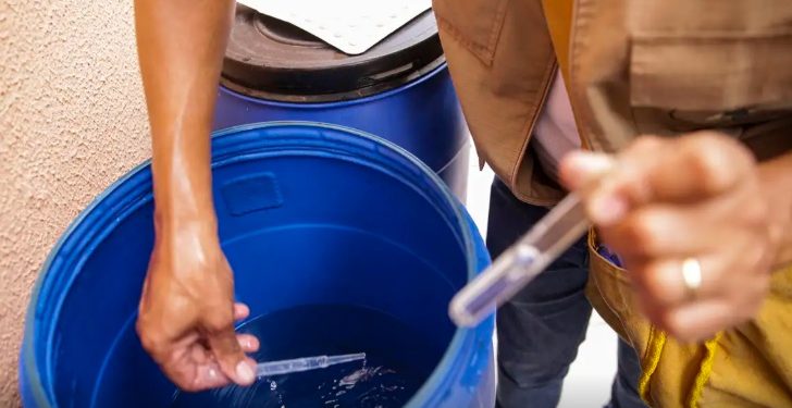 Dengue avança nas Zonas Oeste, Centro Oeste e Leste de Manaus: veja em quais bairros