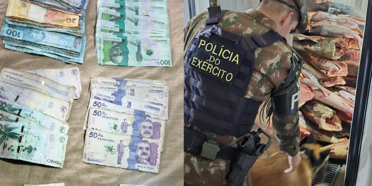 Exército apreende 2 milhões de pesos colombianos, produtos ilegais e do garimpo na fronteira do AM