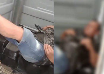 ‘Levanta daí cabra’: Homem é encontrado dormindo em banheiro químico após Réveillon em Manaus; veja