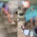 Homem e mulher são ass@ss1nad0s em área de construção no bairro Chapada