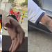 Vídeo: mulher dá “cantada” em estranho no carro e quase tem o celular roubado por ele