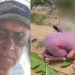 Vídeo: Fazendeiro de 68 anos que m@t0u ‘Cafu’ na frente do filho de 14 anos é pre$0 no AM