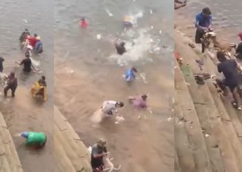 Vídeo mostra fartura de jaraquis no Amazonas: ‘enche nossos corações de gratidão’ 