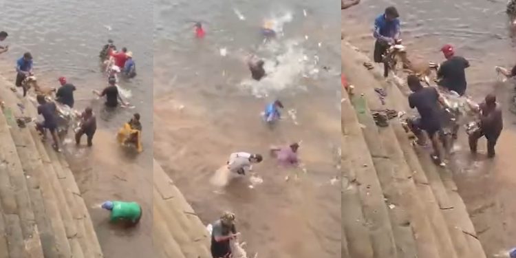 Vídeo mostra fartura de jaraquis no Amazonas: ‘enche nossos corações de gratidão’ 