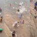 Vídeo mostra fartura de jaraquis no Amazonas: ‘enche nossos corações de gratidão’