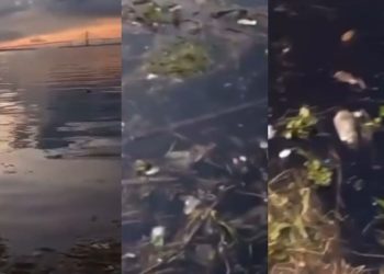 Vídeo: turista exibe sujeira no Porto de Manaus e critica amazonenses por lixo na água  