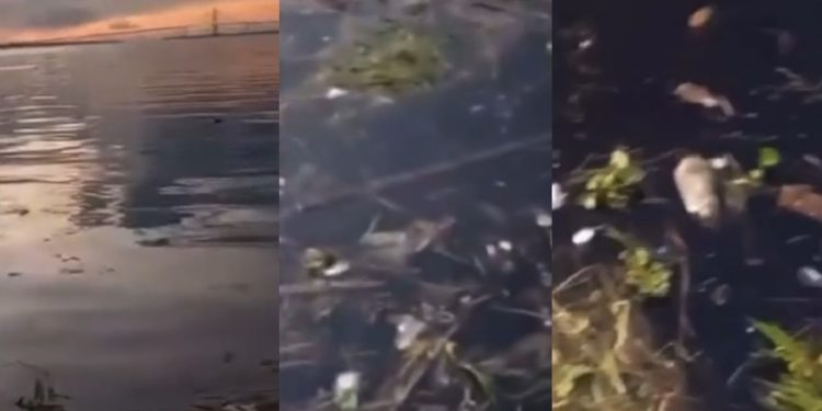 Vídeo: turista exibe sujeira no Porto de Manaus e critica amazonenses por lixo na água  