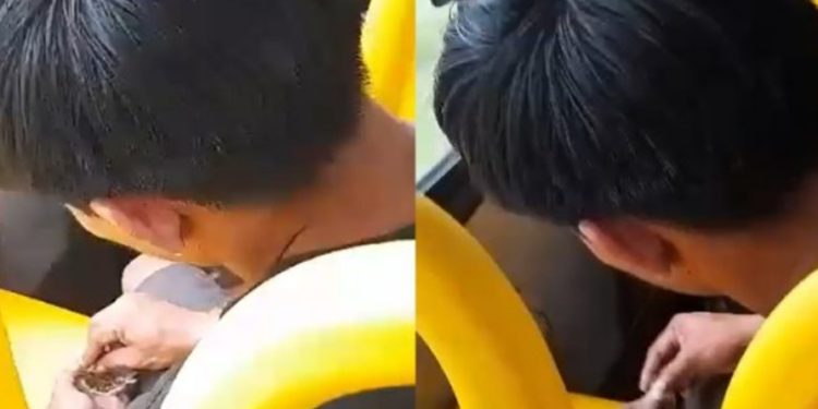 Vídeo: passageiro enrola “basead0” no busão e fica famoso como “mac0nheiro do 340”