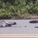 Vídeos: Homem e mulher m0rr3m após ac1dent3 com moto no interior do Amazonas