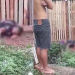 Vídeo: Homem b@t3 na própria mãe e cr1m1n0s0s vão atrás dele em Manacapuru
