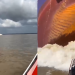 Vídeo: Ribeirinhos ‘amostradinhos’ postam manobras arriscadas na frente de embarcação grande