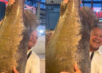 Vídeo: tambaqui de 28 quilos é cobiçado na feira em Manaus: ‘só aqui no Amazonas’