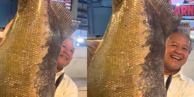 Vídeo: tambaqui de 28 quilos é cobiçado na feira em Manaus: ‘só aqui no Amazonas’