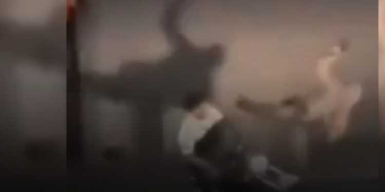 Vídeo: PM  perde paciência e acerta “voadora” em motoqueiro que acelerou moto barulhenta 