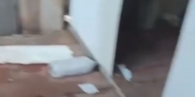 Pela 2ª vez, jovem é salvo pela polícia de ser m0rt0 por tr4fic4ntes no Amazonas