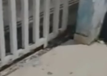 Vídeo: Crimin0s0 lamenta após tentar r0ub4r mulher e ser b4lead0 em Manaus: 'Tô na vida errada'