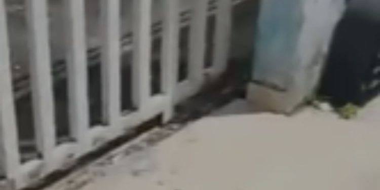 Vídeo: Crimin0s0 lamenta após tentar r0ub4r mulher e ser b4lead0 em Manaus: 'Tô na vida errada'