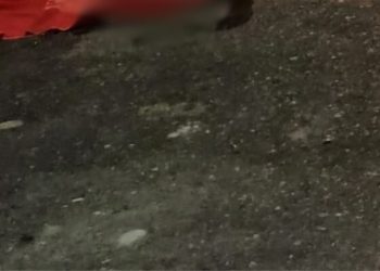 Vulgo ‘Neguinho’ é execut4d0 na zona leste de Manaus