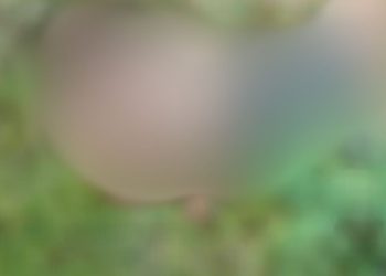 Com sinais de t0rtur4, homem é encontrado m0rt0 no Amazonas;