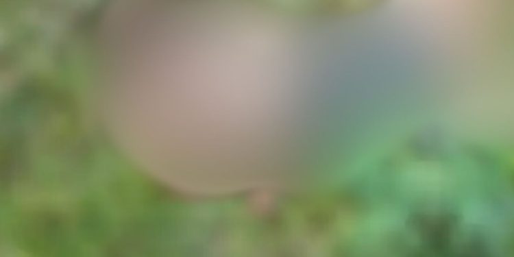 Com sinais de t0rtur4, homem é encontrado m0rt0 no Amazonas;