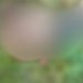 Com sinais de t0rtur4, homem é encontrado m0rt0 no Amazonas;