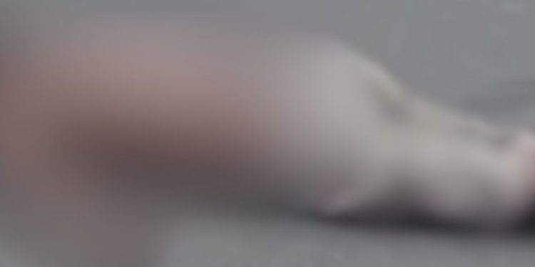 Rapaz reclama da demora do Samu após ver homem atr0pel4d0 no Coroado: 'Ainda não chegou'