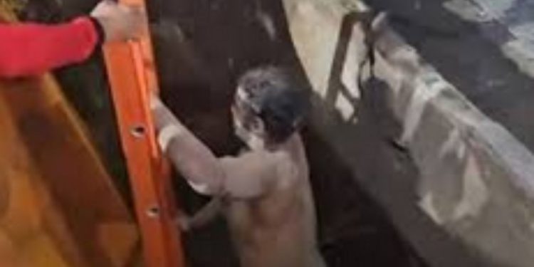Vídeo mostra venezuelano sendo resgatado após cair em buraco no Japiim