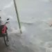 Vídeo: Mulher é levada por correnteza enquanto atravessava rua durante a chuva em Manaus