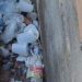 Moradores do Jorge Teixeira encontram homem m0rt0 em terreno