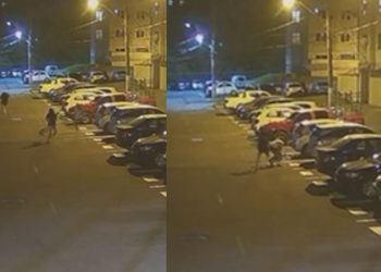 Câmera registra pitbull atac4ndo mulheres dentro de condomínio em Manaus