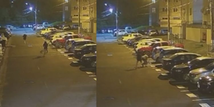 Câmera registra pitbull atac4ndo mulheres dentro de condomínio em Manaus