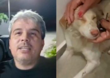 Justiça decreta prisão preventiva de fotógrafo flagrado batend0 em cadela no Distrito