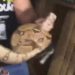 Vídeo mostra cobra que foi encontrada em caminhão dentro do Shopping Sumaúma