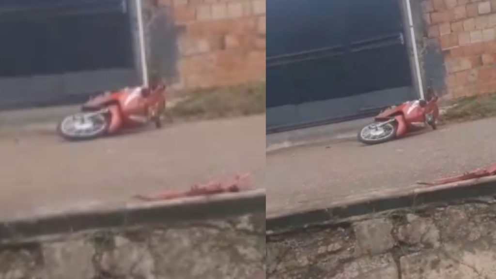 Em Manacapuru, motociclista m0rr3 ao tentar desviar de cachorro; vídeo