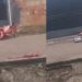 Em Manacapuru, motociclista m0rr3 ao tentar desviar de cachorro; vídeo