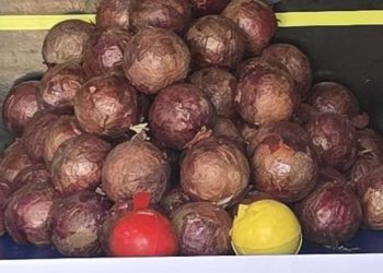 Trafic4ntes tentam transportar coc4ína dentro de cebolas no Amazonas