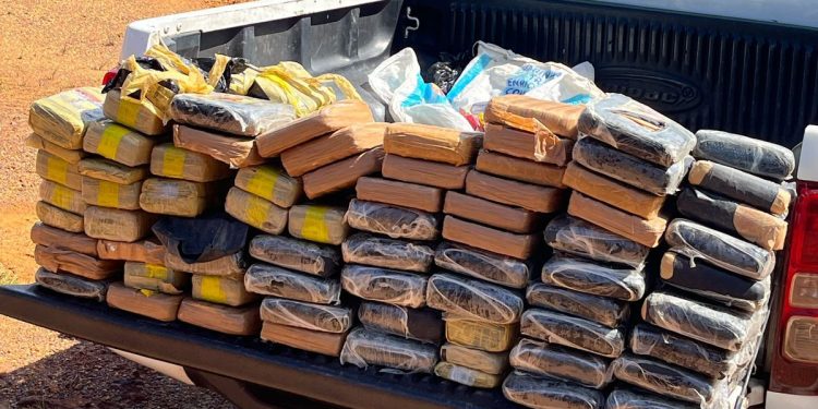 Tem traf1cant3 chorando: Polícia incinera dr0gas avaliadas em quase R$ 2 milhões no Amazonas